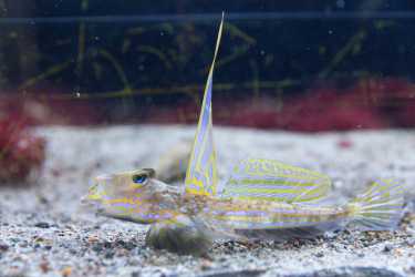 Wycieczka do Oceanarium w Stralsundzie